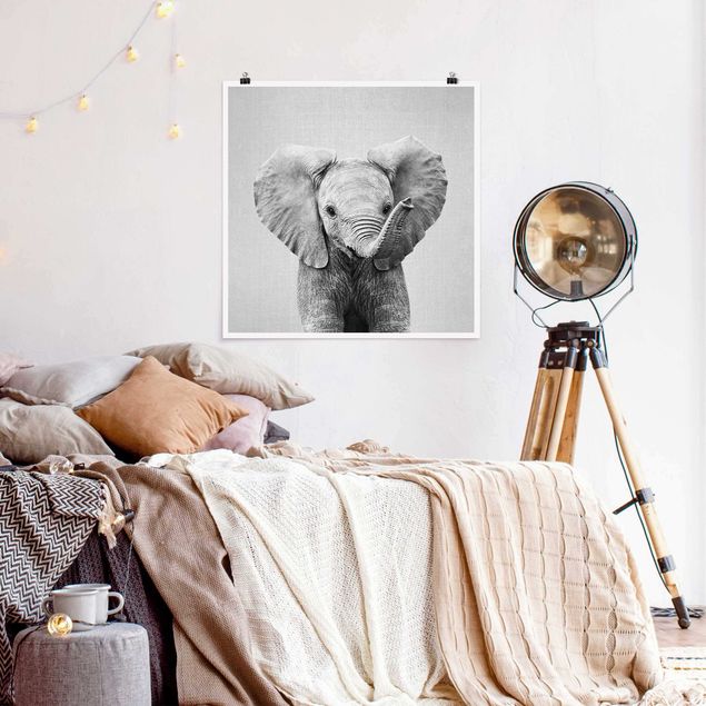 Poster - Baby Elefant Elsa Schwarz Weiß - Quadrat 1:1