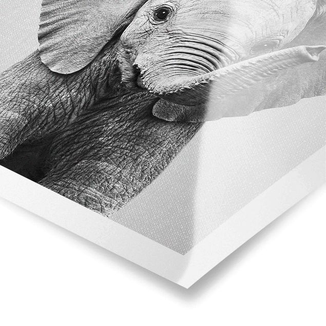 Poster bestellen Baby Elefant Elsa Schwarz Weiß