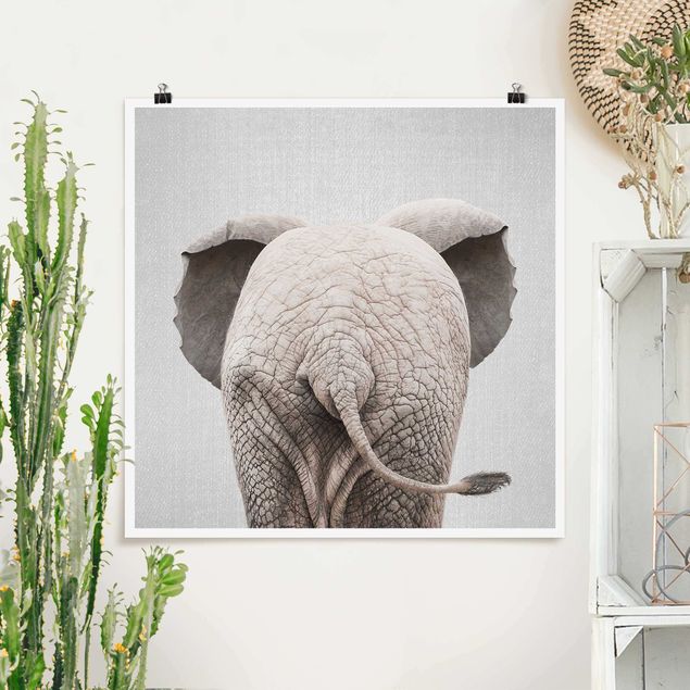 Poster Elefanten Baby Elefant von hinten