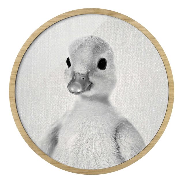 Bilder Baby Ente Emma Schwarz Weiß