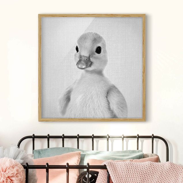 schwarz-weiß Bilder mit Rahmen Baby Ente Emma Schwarz Weiß