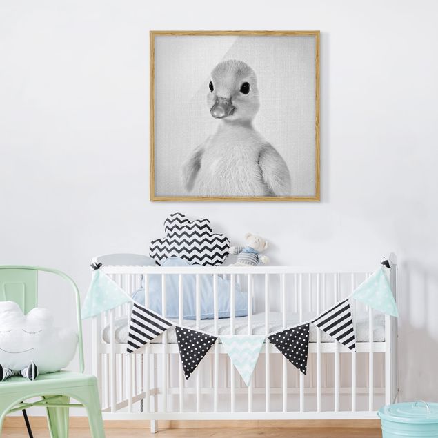 Tiere Bilder mit Rahmen Baby Ente Emma Schwarz Weiß