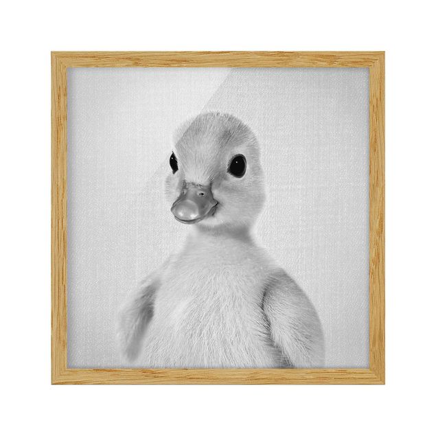 Wandbilder Baby Ente Emma Schwarz Weiß