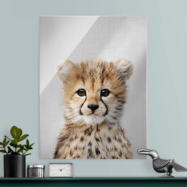 Glasbilder Tiere Baby Gepard Gino