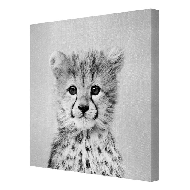 Leinwandbild - Baby Gepard Gino Schwarz Weiß - Quadrat 1:1