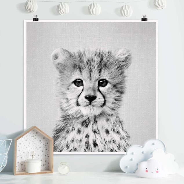 Schwarz Poster - Gepard Gino Quadrat Baby 1:1 Weiß -