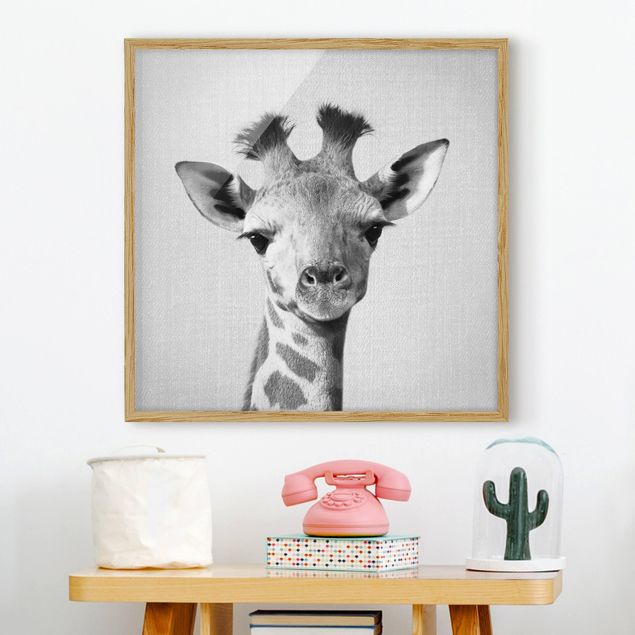 gerahmte Bilder schwarz-weiß Baby Giraffe Gandalf Schwarz Weiß
