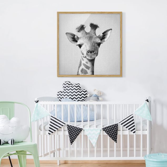 Moderne Bilder mit Rahmen Baby Giraffe Gandalf Schwarz Weiß