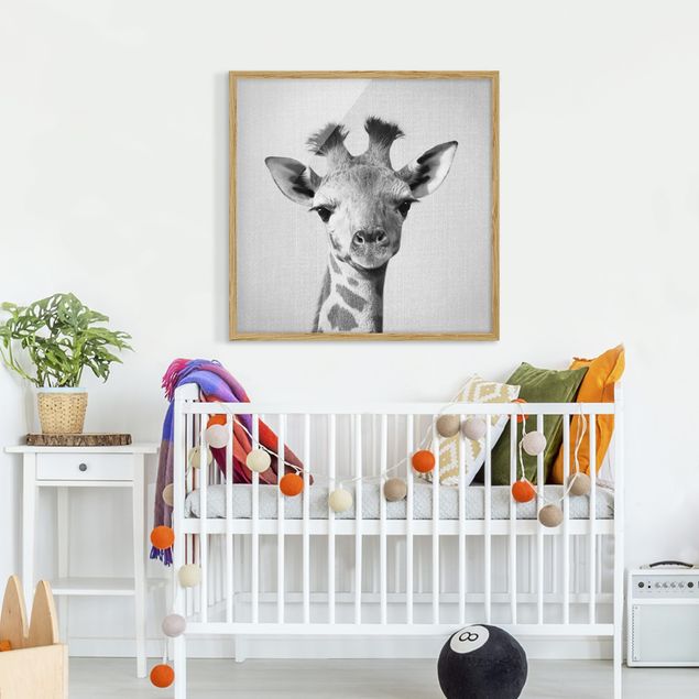 Tiere Bilder mit Rahmen Baby Giraffe Gandalf Schwarz Weiß