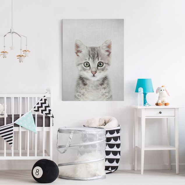 Wandbilder Baby Katze Killi
