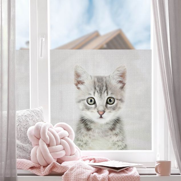 Fensterfolie Baby Katze Killi