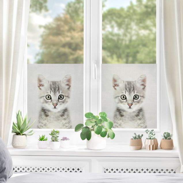 Fensterbilder Baby Katze Killi