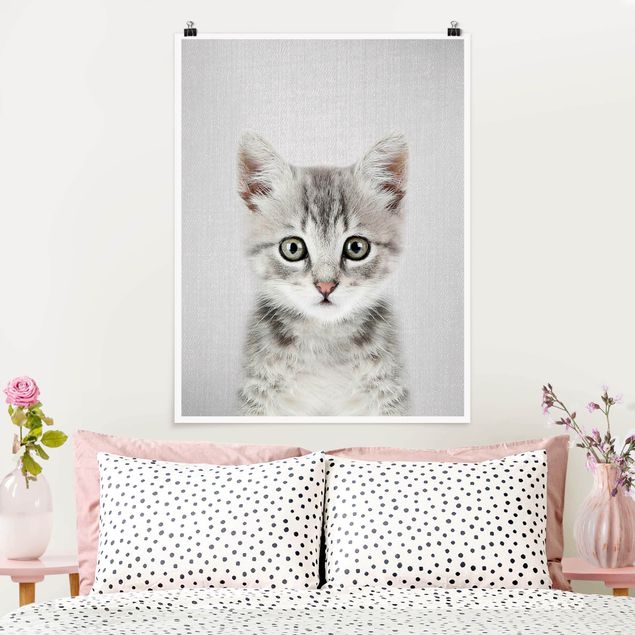 Poster Katzen Baby Katze Killi