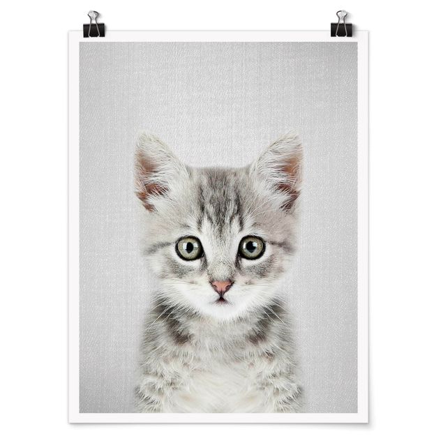 Moderne Poster Baby Katze Killi