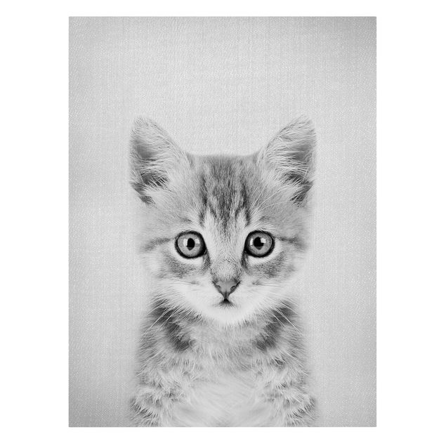 Leinwandbilder Baby Katze Killi Schwarz Weiß