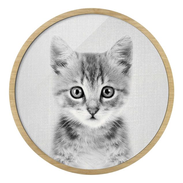 Wandbilder Baby Katze Killi Schwarz Weiß