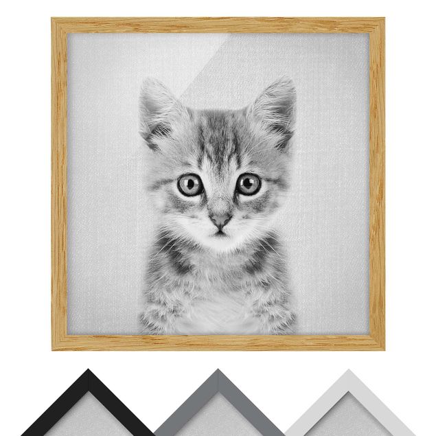 Bild mit Rahmen - Baby Katze Killi Schwarz Weiß - Quadrat - 1:1