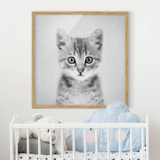 schwarz-weiß Bilder gerahmt Baby Katze Killi Schwarz Weiß