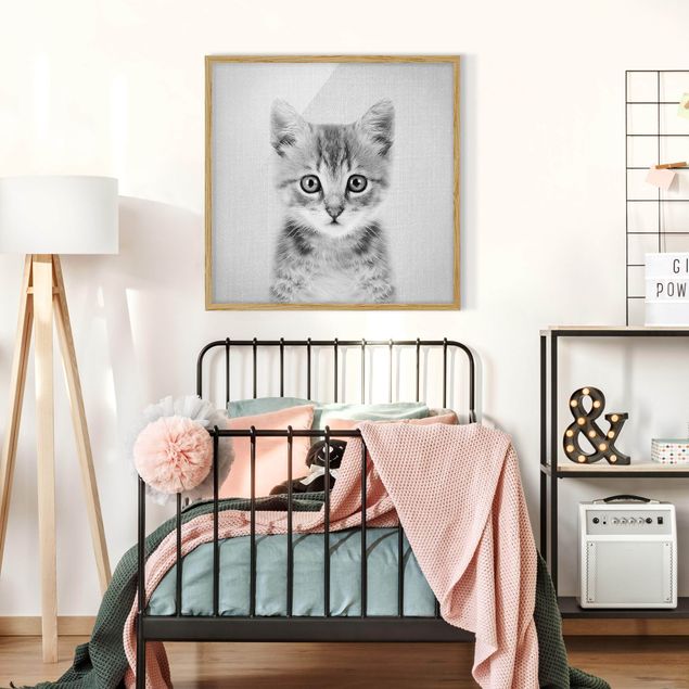 Moderne Bilder mit Rahmen Baby Katze Killi Schwarz Weiß