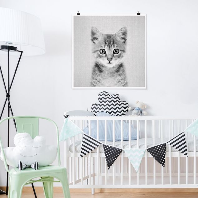 Wand Poster XXL Baby Katze Killi Schwarz Weiß
