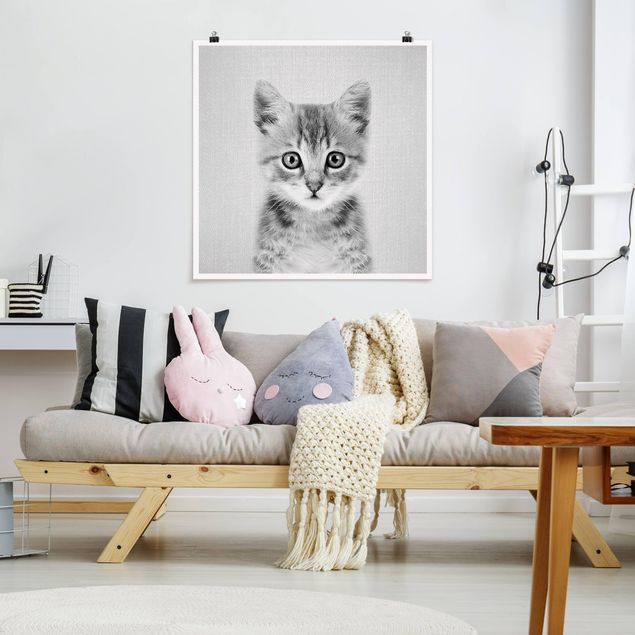 Tiere Poster Baby Katze Killi Schwarz Weiß