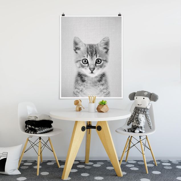 Poster Tiere Baby Katze Killi Schwarz Weiß