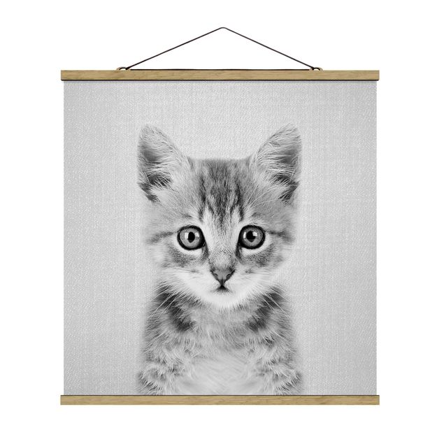 Moderne Poster Baby Katze Killi Schwarz Weiß