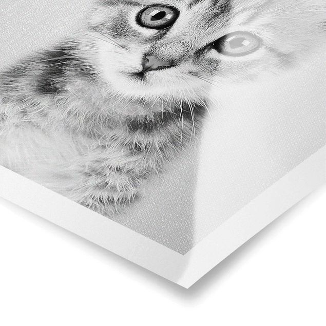 Poster Baby Katze Killi Schwarz Weiß
