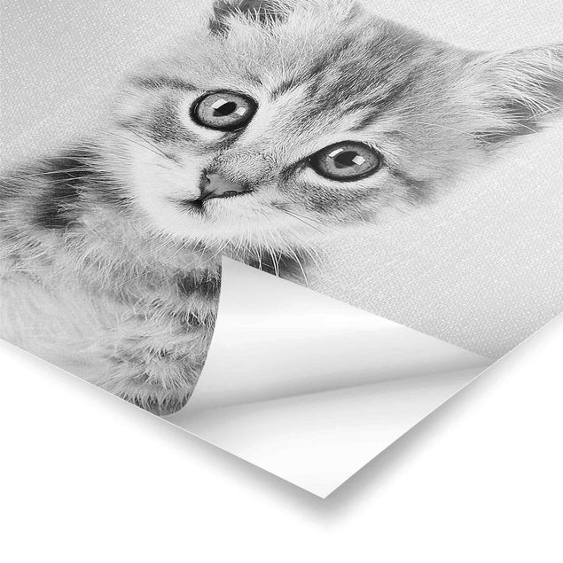 Poster - Baby Katze Killi Schwarz Weiß - Quadrat 1:1
