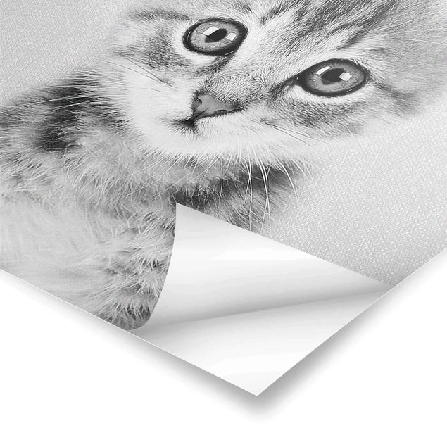 Poster - Baby Katze Killi Schwarz Weiß - Hochformat 3:4