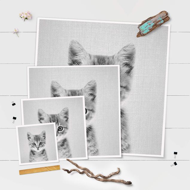 Poster - Baby Katze Killi Schwarz Weiß - Quadrat 1:1