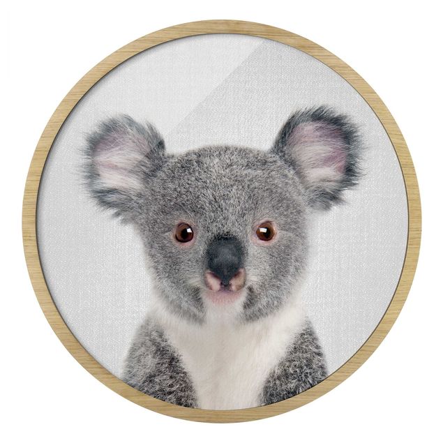 Bilder Baby Koala Klara