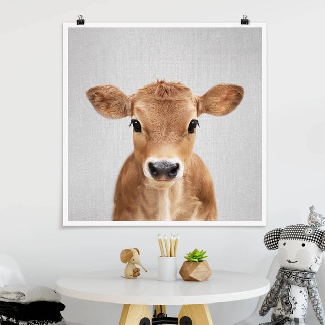 Poster Kühe Baby Kuh Kira