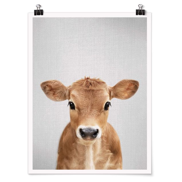 Moderne Poster Baby Kuh Kira