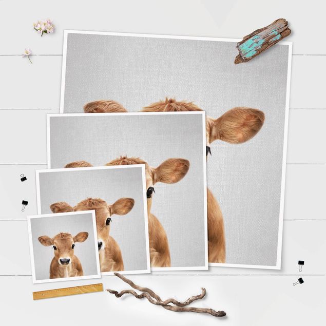 Poster - Baby Kuh Kira - Quadrat 1:1