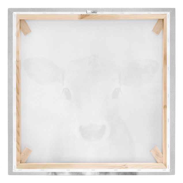 Leinwandbild - Baby Kuh Kira Schwarz Weiß - Quadrat 1:1
