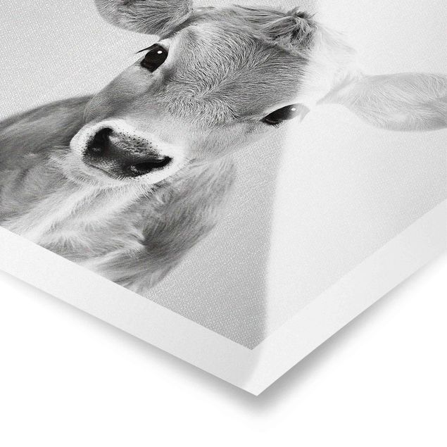 Poster Baby Kuh Kira Schwarz Weiß