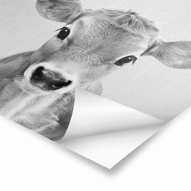 Poster - Baby Kuh Kira Schwarz Weiß - Quadrat 1:1