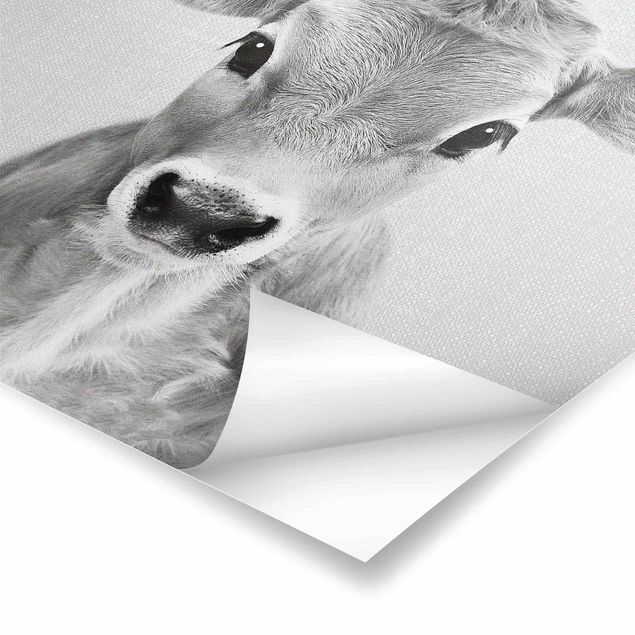 Poster - Baby Kuh Kira Schwarz Weiß - Hochformat 3:4