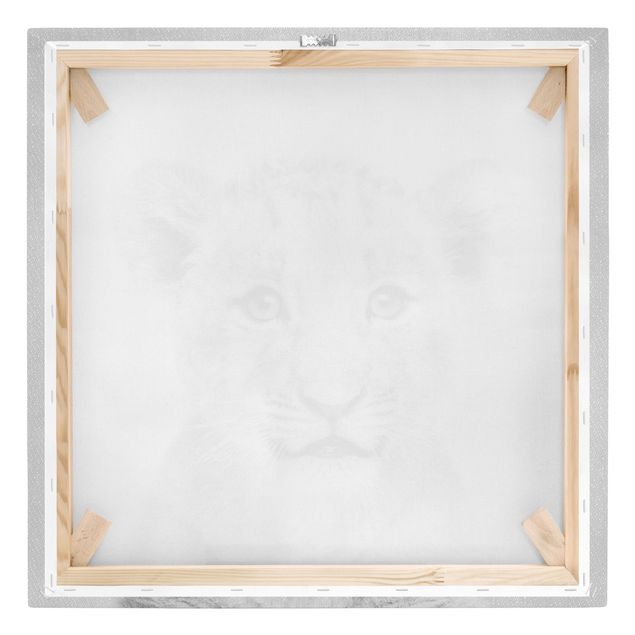 Leinwandbild - Baby Löwe Luca Schwarz Weiß - Quadrat 1:1