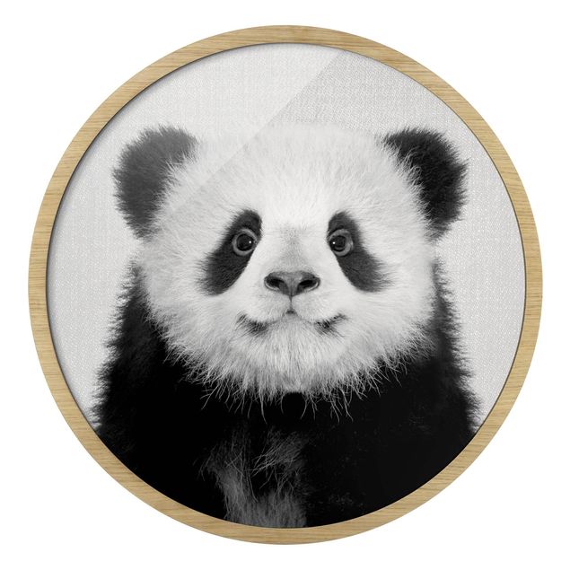 schöne Bilder Baby Panda Prian Schwarz Weiß