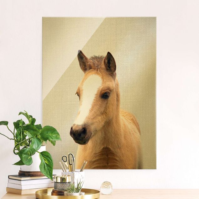 XXL Glasbilder Baby Pferd Philipp