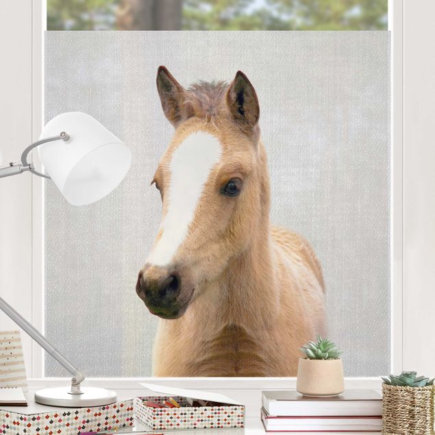 Fensterfolie bunt Baby Pferd Philipp