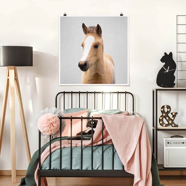 Poster Tiere Baby Pferd Philipp