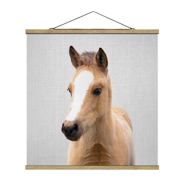 Moderne Poster Baby Pferd Philipp