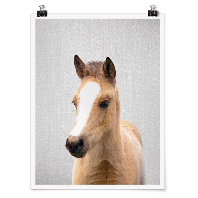 Moderne Poster Baby Pferd Philipp