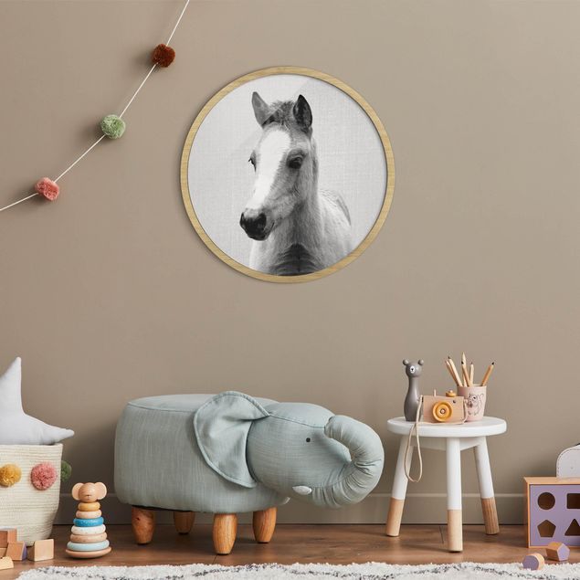 Moderne Bilder mit Rahmen Baby Pferd Philipp Schwarz Weiß
