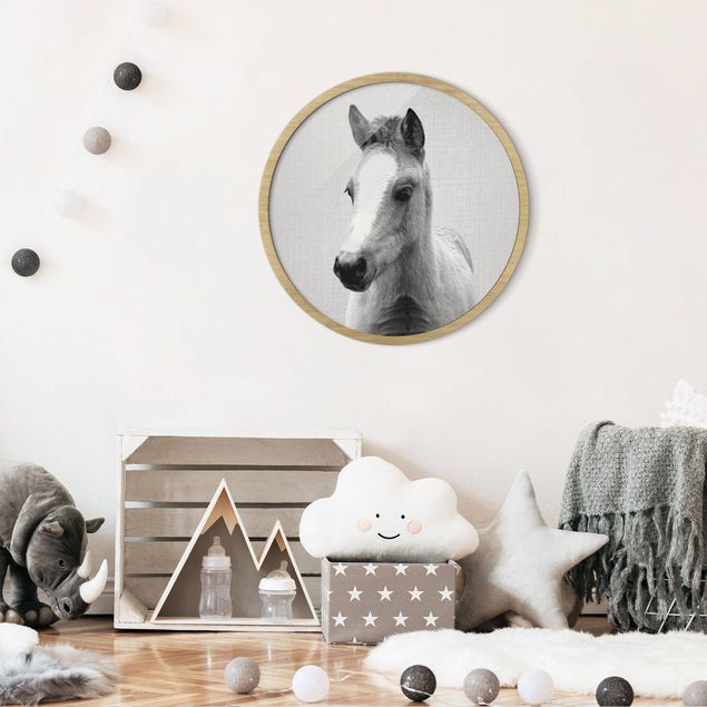 Tiere Bilder mit Rahmen Baby Pferd Philipp Schwarz Weiß