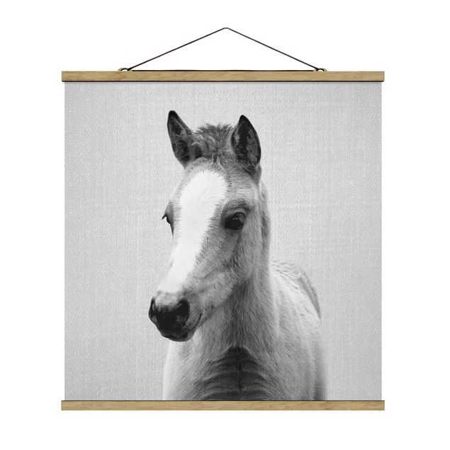 Moderne Poster Baby Pferd Philipp Schwarz Weiß