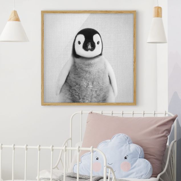 schwarz-weiß Bilder gerahmt Baby Pinguin Pepe Schwarz Weiß